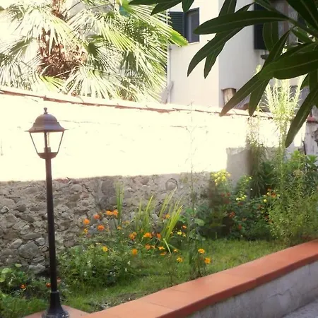 Charming Garden In 公寓