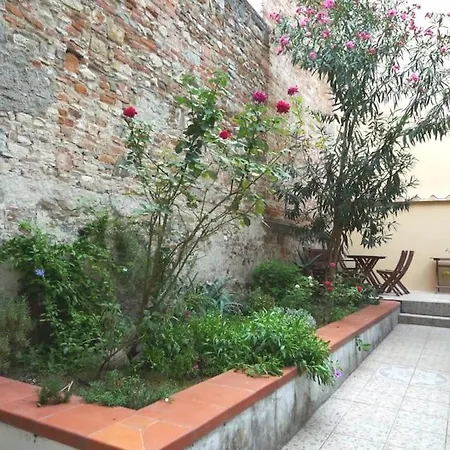 Charming Garden In